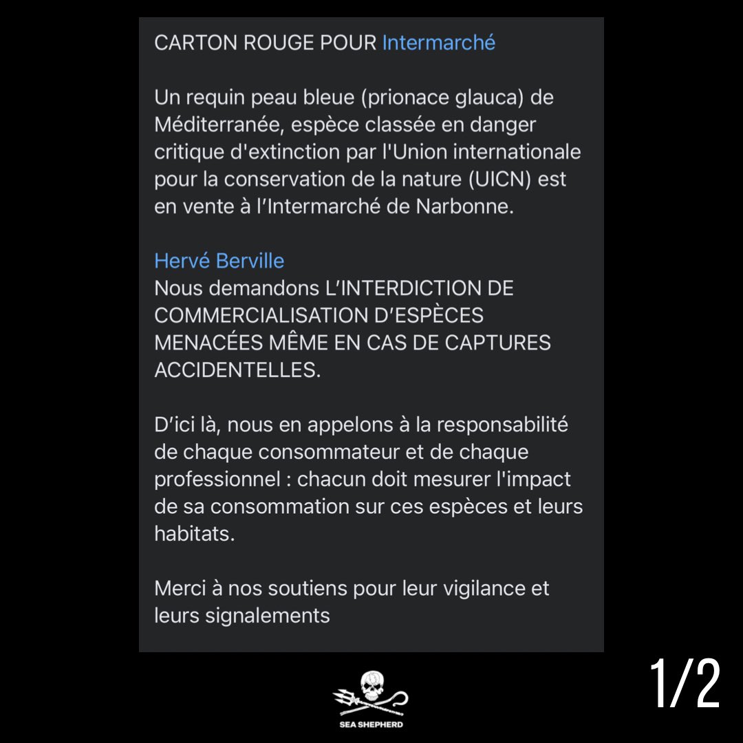 SeaShepherdFran's tweet photo. Carton rouge pour @intermarche : vente d’un #requin peau bleue (prionace glauca) de Méditerranée, espèce classée en danger critique d'extinction par l’UICN à l’Intermarché de Narbonne. 

@herveberville : À QUAND L’INTERDICTION DE COMMERCIALISATION D’ESPÈCES MENACÉES ? https://t.co/cgrgQcHi0I