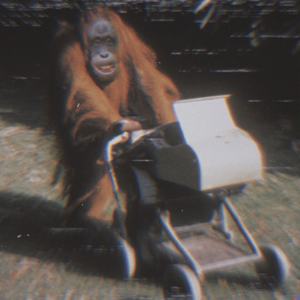 altgazza's tweet photo. GOT BACK ON MY ALTERNATE TIMELINE RIG. TRY AN FIND SOME GAZZAS TONUSE FOR ART INSPO. YOU KNOW? INSTEAD ITS A #CARAMAC🦧 PUSHING AROUND A REAL LIVE #FAXPRAM.? I ONLY JUST DREW SOMETHING LIKE THIS YESTERDAY! ! THRU MY ART AM I #BLESSED WITH SOME KIND OF FUTRESIGHT? https://t.co/MJnI1ewDQB