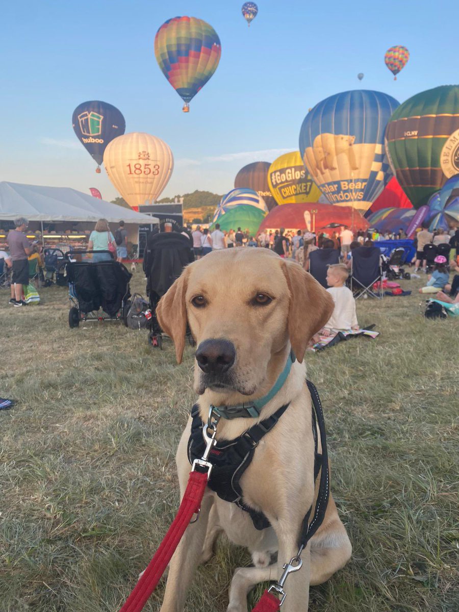 DWilliams tweet media