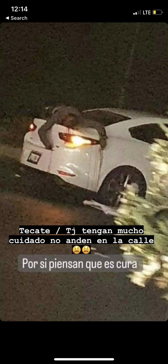 luvdav_'s tweet photo. don’t play yourself be safe outside! #tijuana https://t.co/J2baGAqvcq