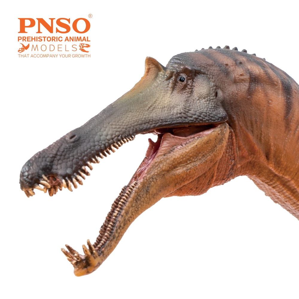 PNSO on X: 