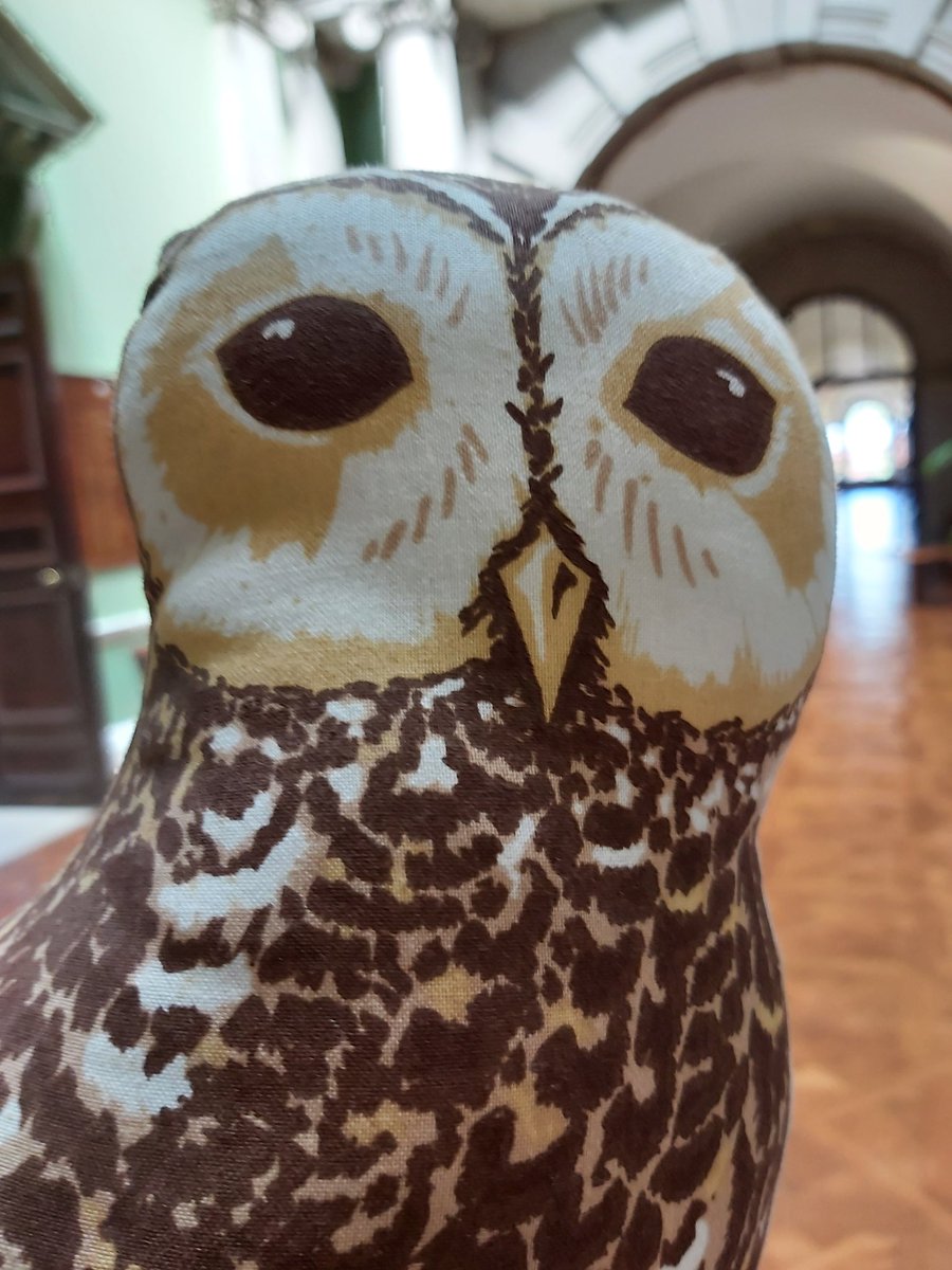 JACTGreek's tweet photo. As things draw to a close, our thanks to all at #JACTGreek22 for the hard work and thoughtfulness that helped us learn so much Greek this fortnight, and do a whole lot more on top. And never fear: #OwlBeBack for #JACTGreek23 from Sun 30 July to Sat 12 Aug 2023 #TheOwlNeverSleeps https://t.co/RnC8SWP9o5