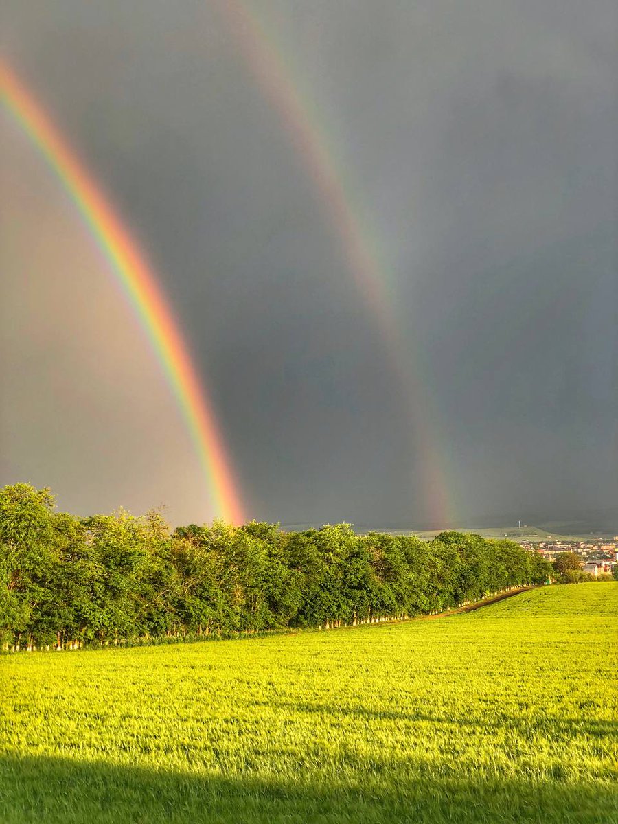 Elvirochka71's tweet photo. #beautiful
#NatureBeauty 
#NaturePhotography 🌈💚 https://t.co/4ylGPztwQg