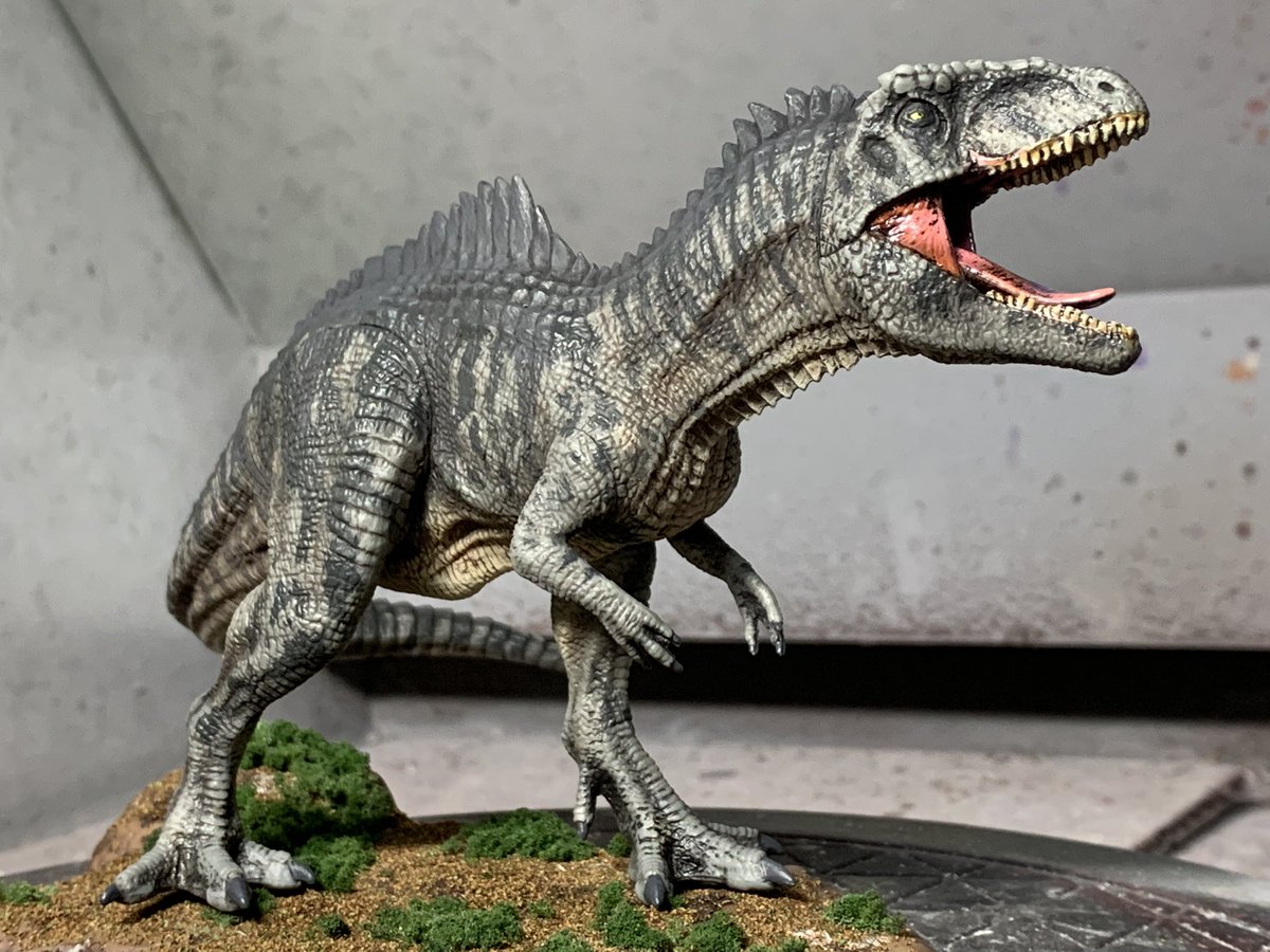 ラセカドトリラ バイオシンテティカのリーフレット