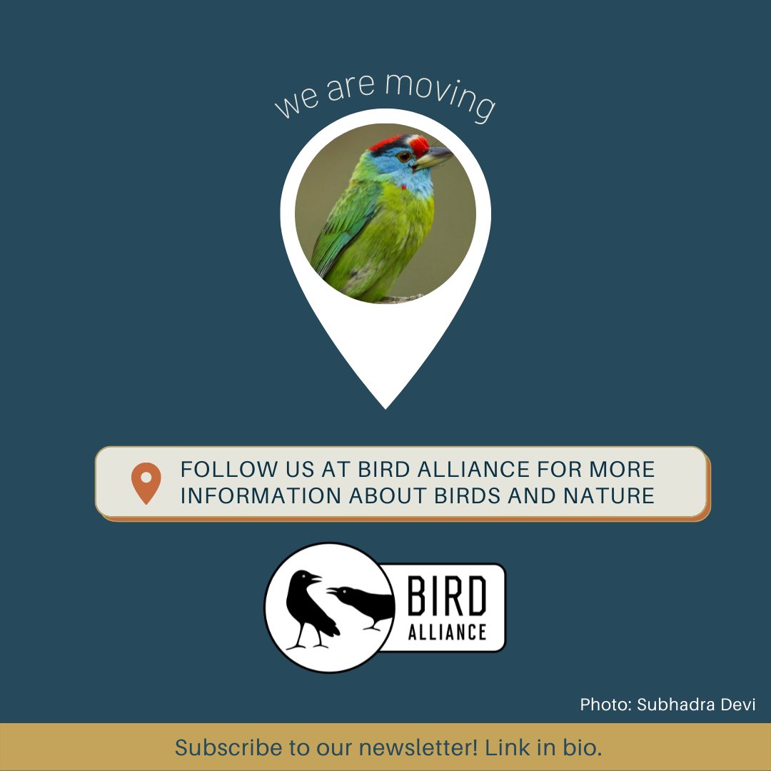 TheFlock.in tweet media