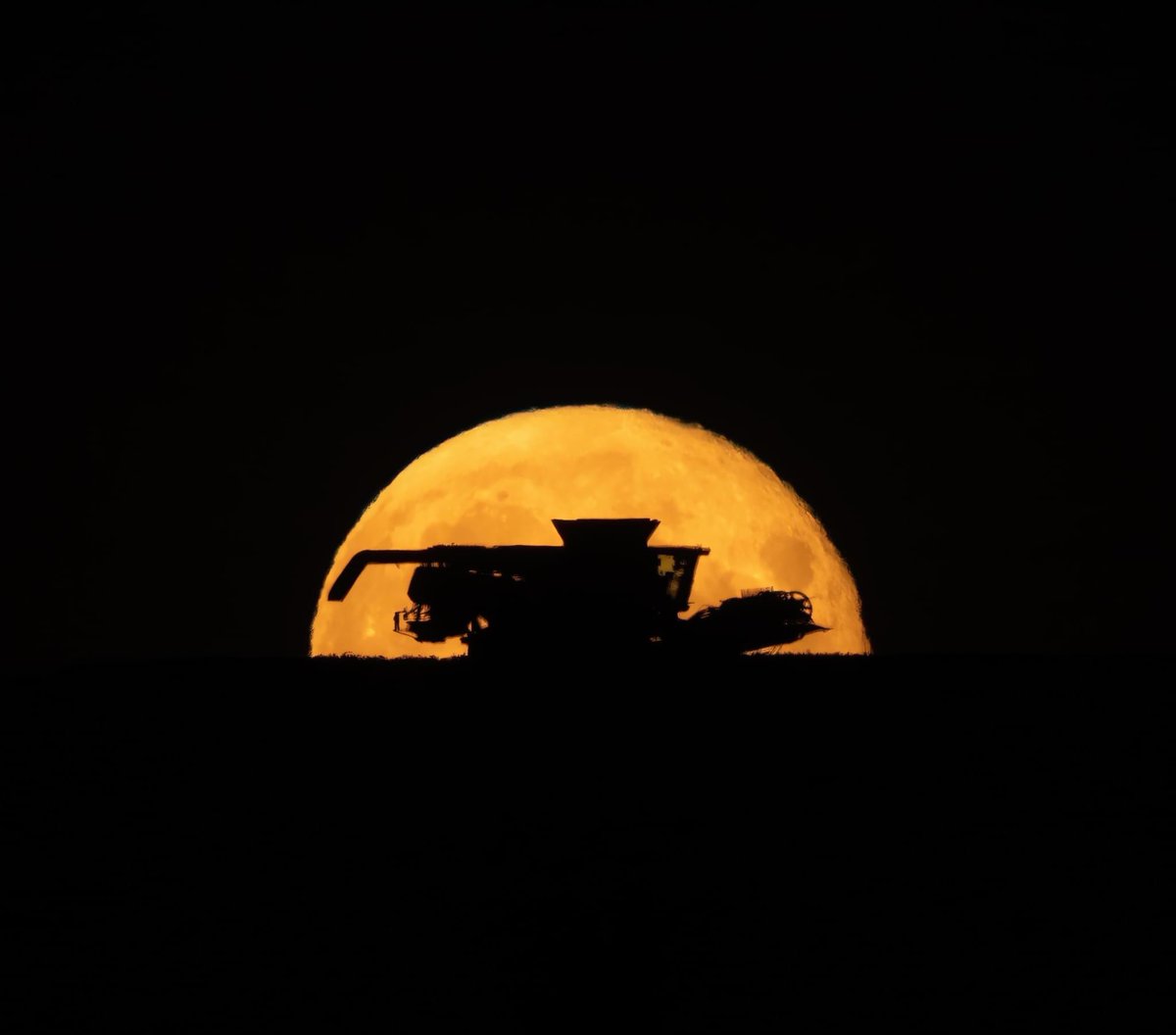 #Marlboroughdowns finished combining yesterday evening. Just over a month of harvesting, and finishing nearly three weeks earlier than normal. With huge thanks to the great team we have helping us. The combine silhouetted in the rising Full moon yesterday evening. Harvest home!.