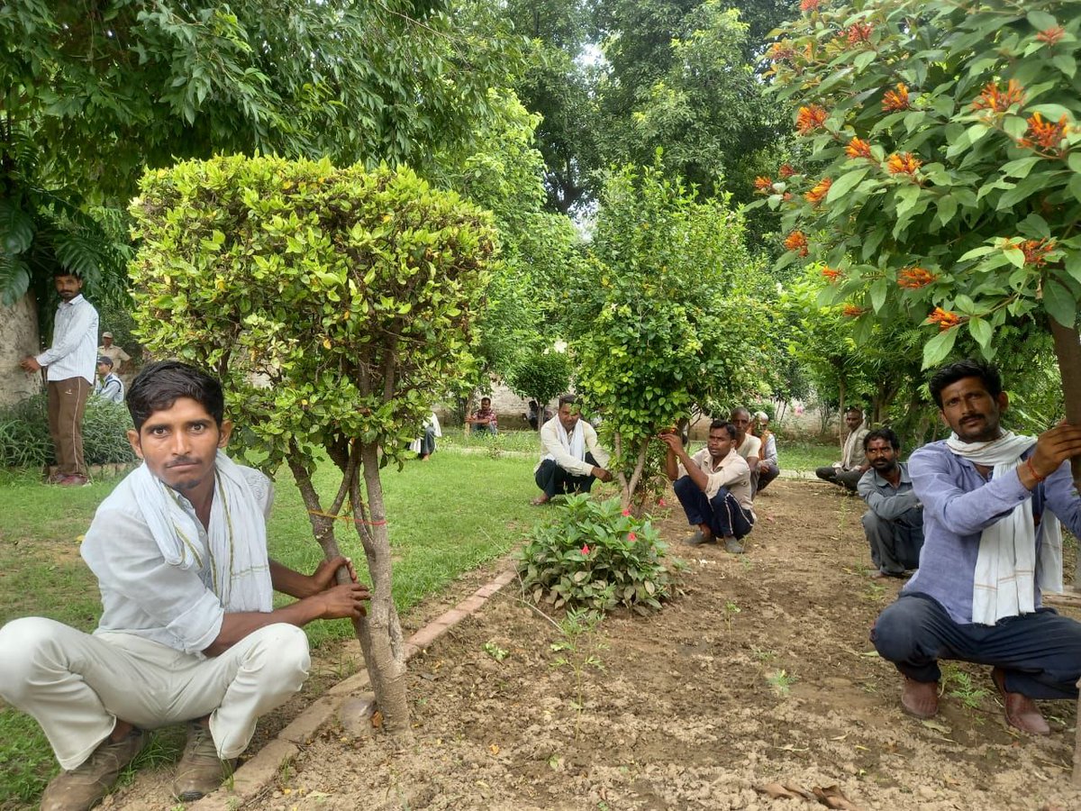 Kiranbajaj1805's tweet photo. @paryavaran_mitra walks the talk! Raksha Bandhan took on a deeper meaning at our campus in Shikohabad UP. The Paryavaran team and it's wider family members celebrated with the trees, for the trees and around the trees. Wishing all brothers and sisters a green and happy future 🙏🏾 https://t.co/T6aArfArGZ
