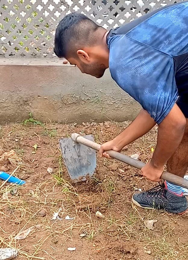 After a couple of months I'm starting with #Plantation drives again! 
Planted few #Saplings today around my house in #Punjab region, India 🇮🇳
#plantalife 

#ClimateEmergency 
#ClimateCrisis 
#ClimateAction