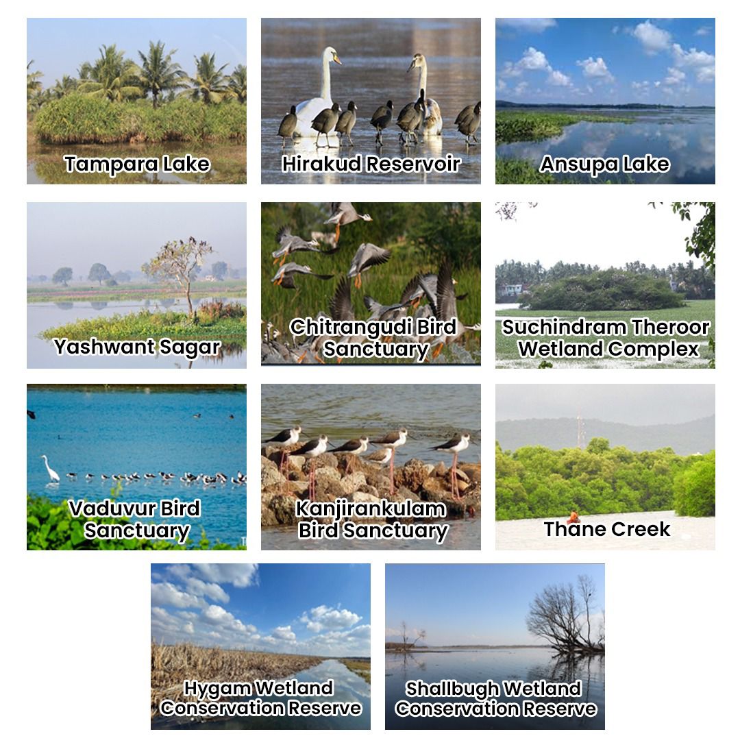 UpasnaMohapatra's tweet photo. As #India is celebrating its 75 years of Independence, 11 more India wetlands got #Ramsar recognition, taking the tally to 75.
3 more sites from #Odisha, #Hirakud reservoir, #Tampara lake and #Ansupa lake get #Ramsar Recognition.
Congratulations!
#IndiaAt75 #AmritMahotsav https://t.co/wPC0dTaycc