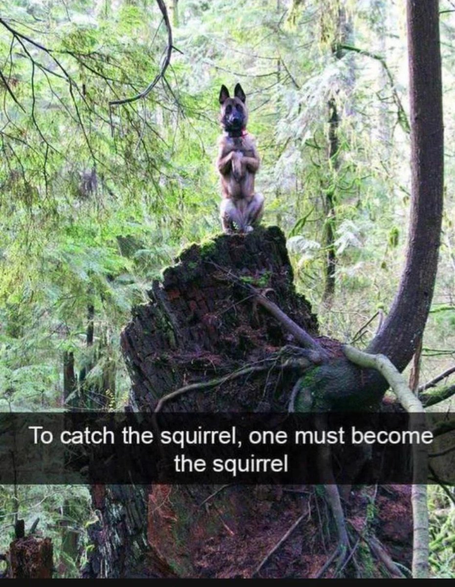 WholesomeMeme's tweet photo. https://t.co/kmpR8UzlF7