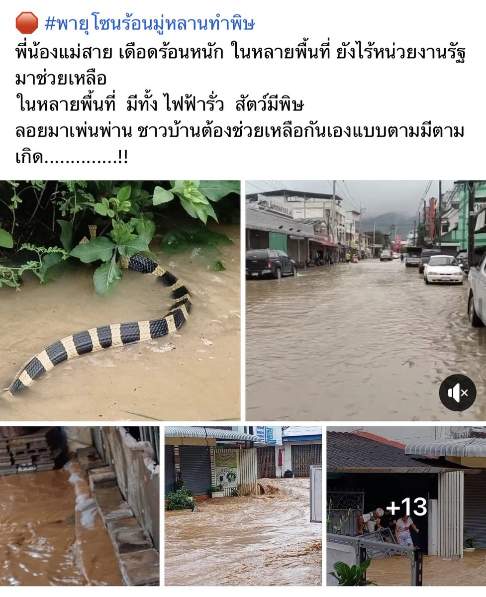 อายีโนโมโตะ tweet media