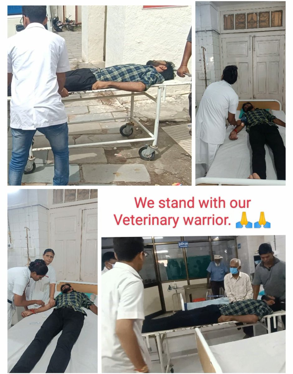 Dr_jAA8's tweet photo. Dear @CMOGuj  Save the savior
96hrs of Hunger strike 
राज्य का दुर्भाग्य है की बेजुबानों की जान बचाने वाले इस तरह से संघर्ष कर रहे हैं
#Day13_of_guj_vets_on_strike
#Increase_Guj_Vet_Stipend
#guj_vet_union
@PMOIndia @CMOGuj
@RaghavjiPatel @sanghaviharsh
@PRupala @KanuDesai180 https://t.co/u7UBQPZG64