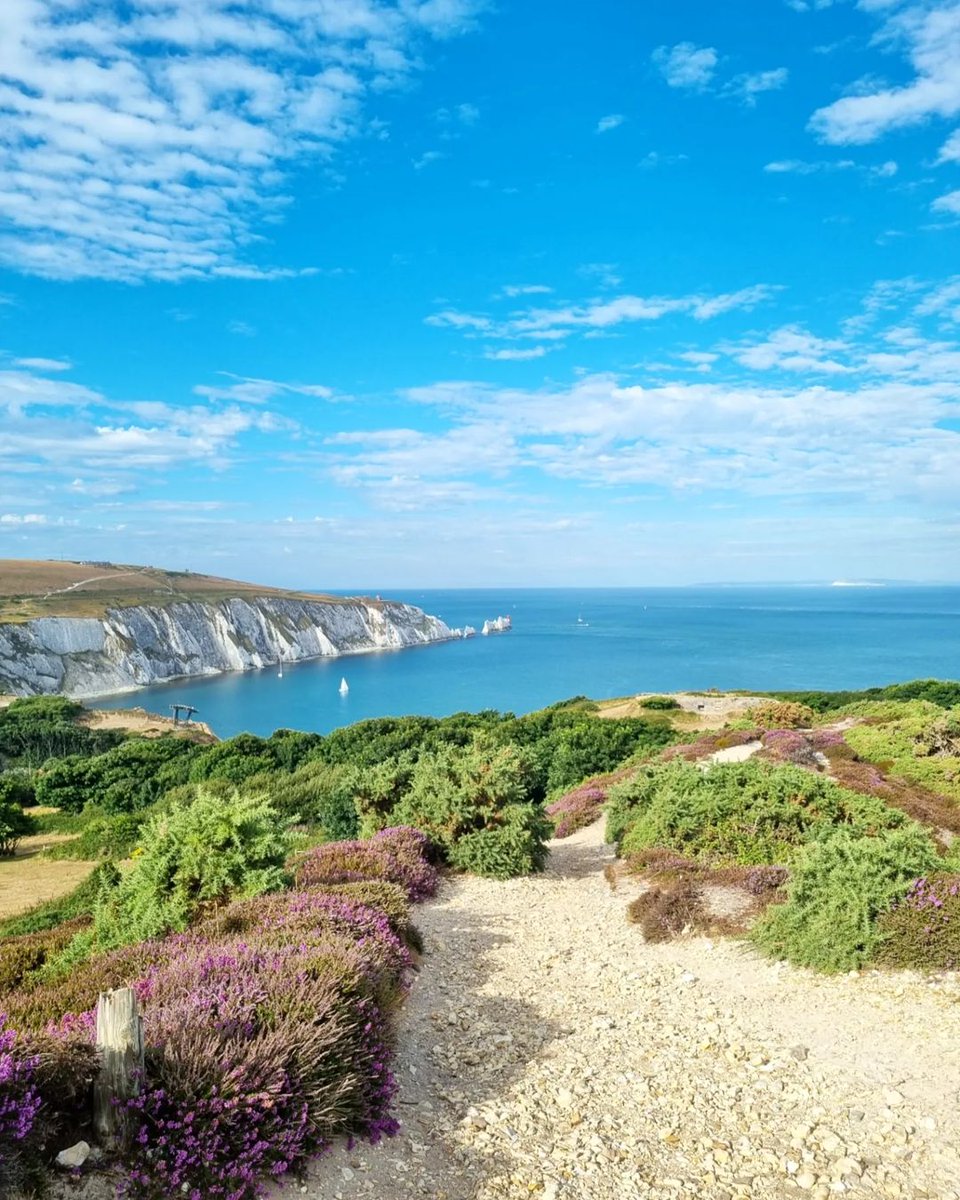 Visit Isle Of Wight (@visitiow) on Twitter photo Simply stunning views of <a href="/VisitTheNeedles/">The Needles</a> from Headon Warren.🌿🌊☀️
Hands up if you've walked to this viewpoint.🙋♀️🙋♂️
📸 cosarofabio (IG)
#IsleofWight #IOW #UNESCO #AONB #TheNeedles #HeadonWarren #HantsDaysOut @IsleofWightNT Simply stunning views of <a href="/VisitTheNeedles/">The Needles</a> from Headon Warren.🌿🌊☀️
Hands up if you've walked to this viewpoint.🙋♀️🙋♂️
📸 cosarofabio (IG)
#IsleofWight #IOW #UNESCO #AONB #TheNeedles #HeadonWarren #HantsDaysOut @IsleofWightNT