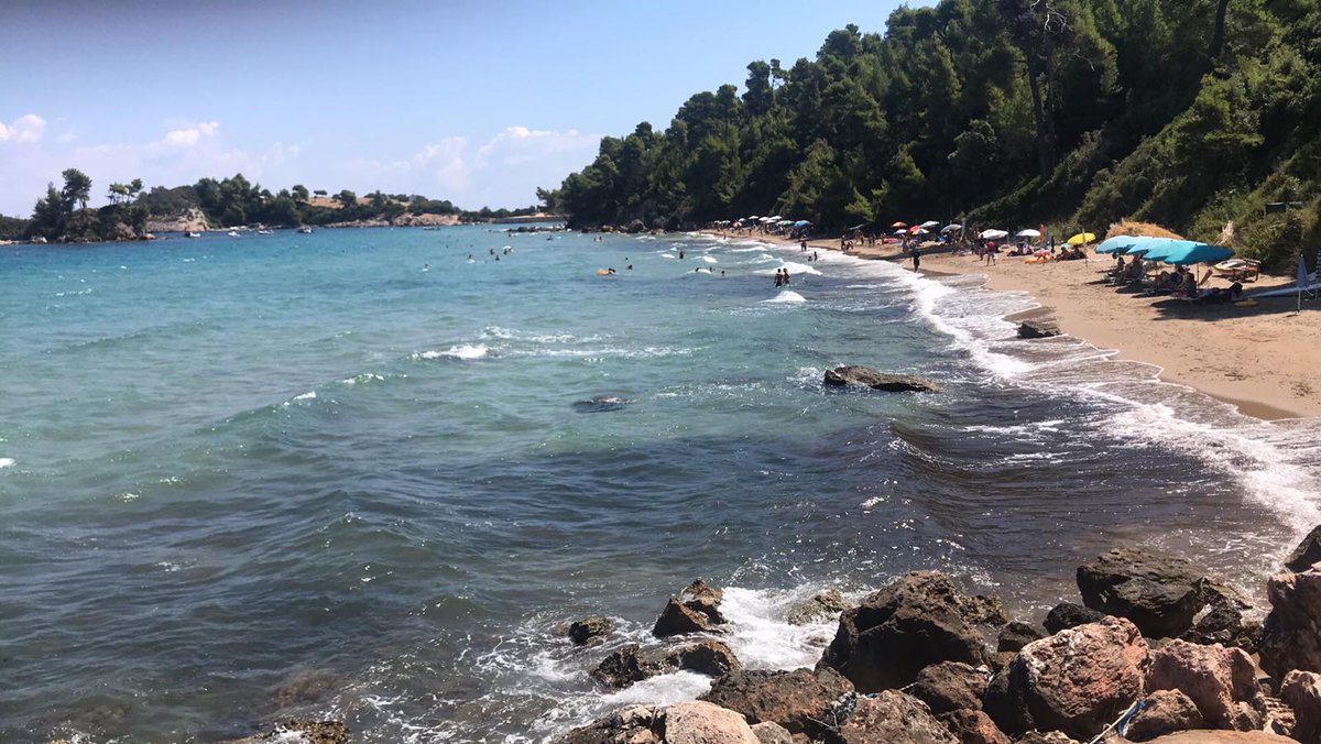 Sportndog's tweet photo. Το κατάστημα θα παραμείνει κλειστό απο 15 έως 20 Αυγούστου. Σας ευχόμαστε καλές διακοπές. https://t.co/9jw6J8GtHl