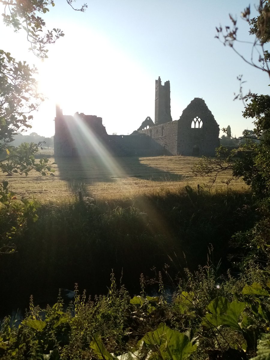 Good morning from Kilmallock...#earlymorningwalks #kilmallockabbey #priorywalk #medieval #irishhistory #ballyhouracountry #irelandsancienteast #Kilmallock #Limerick #SummerVibes #August