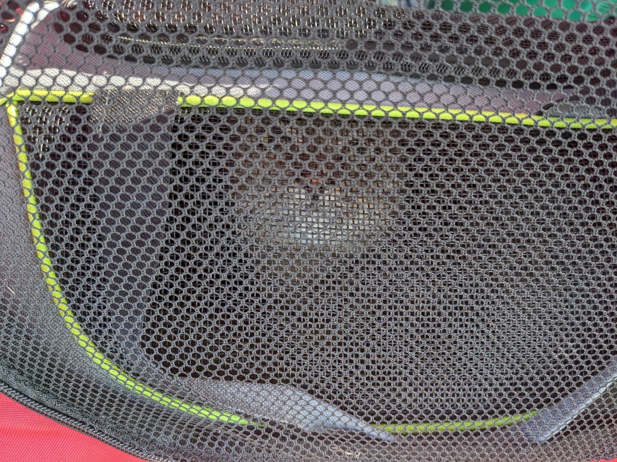 Saartje 😺👑❄ 🧶🧺 tweet media