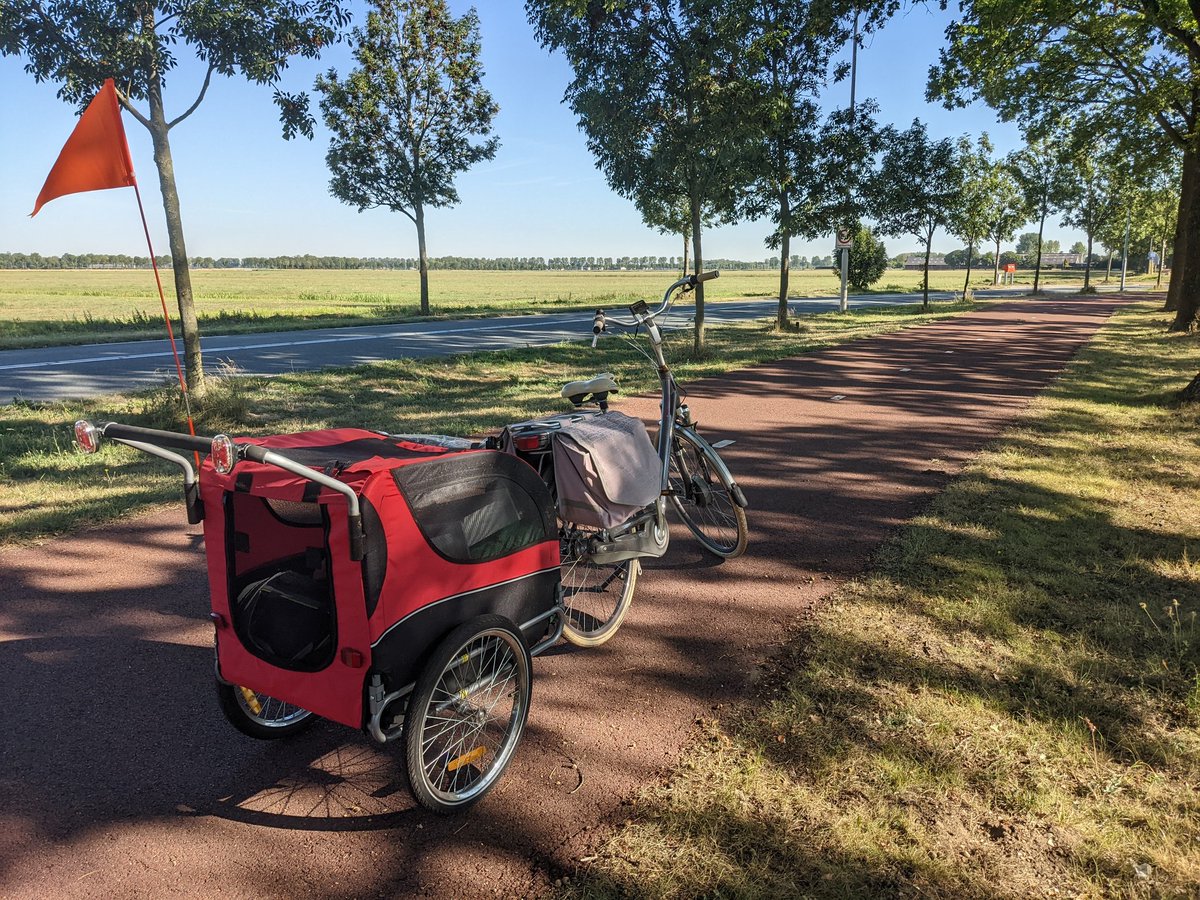 Saartje 😺👑❄ 🧶🧺 tweet media