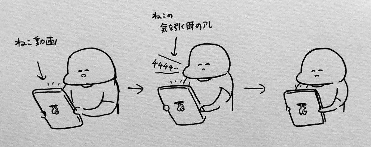 動画にチチチチしても意味がないのだった。 