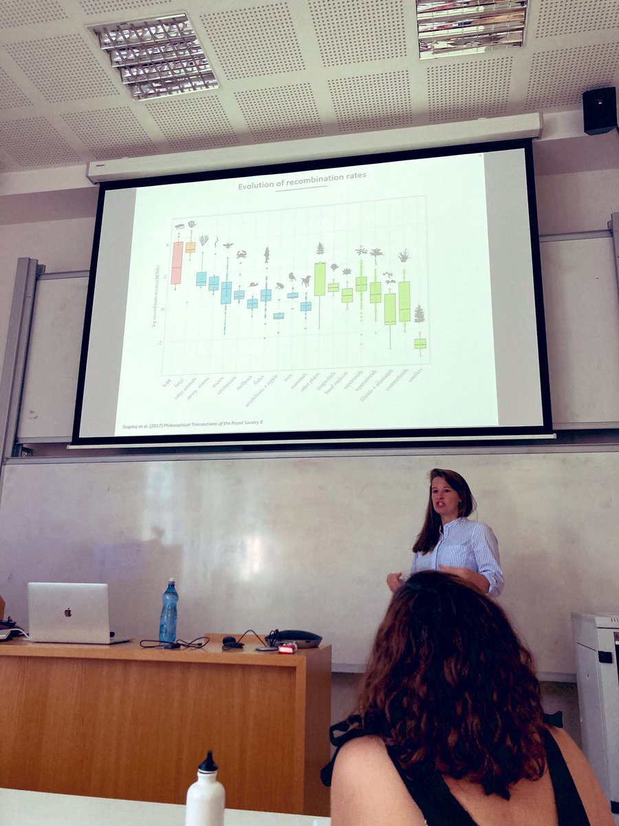 paucarazo's tweet photo. Outstanding talk by @alielw on the genomics of sexual dimorphism, and great discussion, at @Dros_EU 2022 Summer school #FlySchool. https://t.co/2gcHHQxbnl