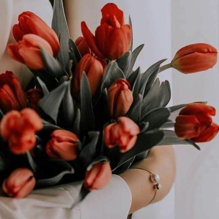 🎵♥_

#بـاقة ورود تصافح العابرين
  و ترحل في حقول
 القلوب♡ البيضاء ترتدي
  حلّة البهاء والنقاء و تغفو
على أنغام شذاها الأرواح المتعبة
 
   وتمطر الأفئدة مـشـاعر
     صدق على شواطئ الحب
            في اللّه لأهـديها لكم
       
صباح الورد والفل والياسمين