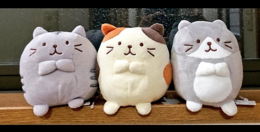 我が家のにゃんこ(*^^*)