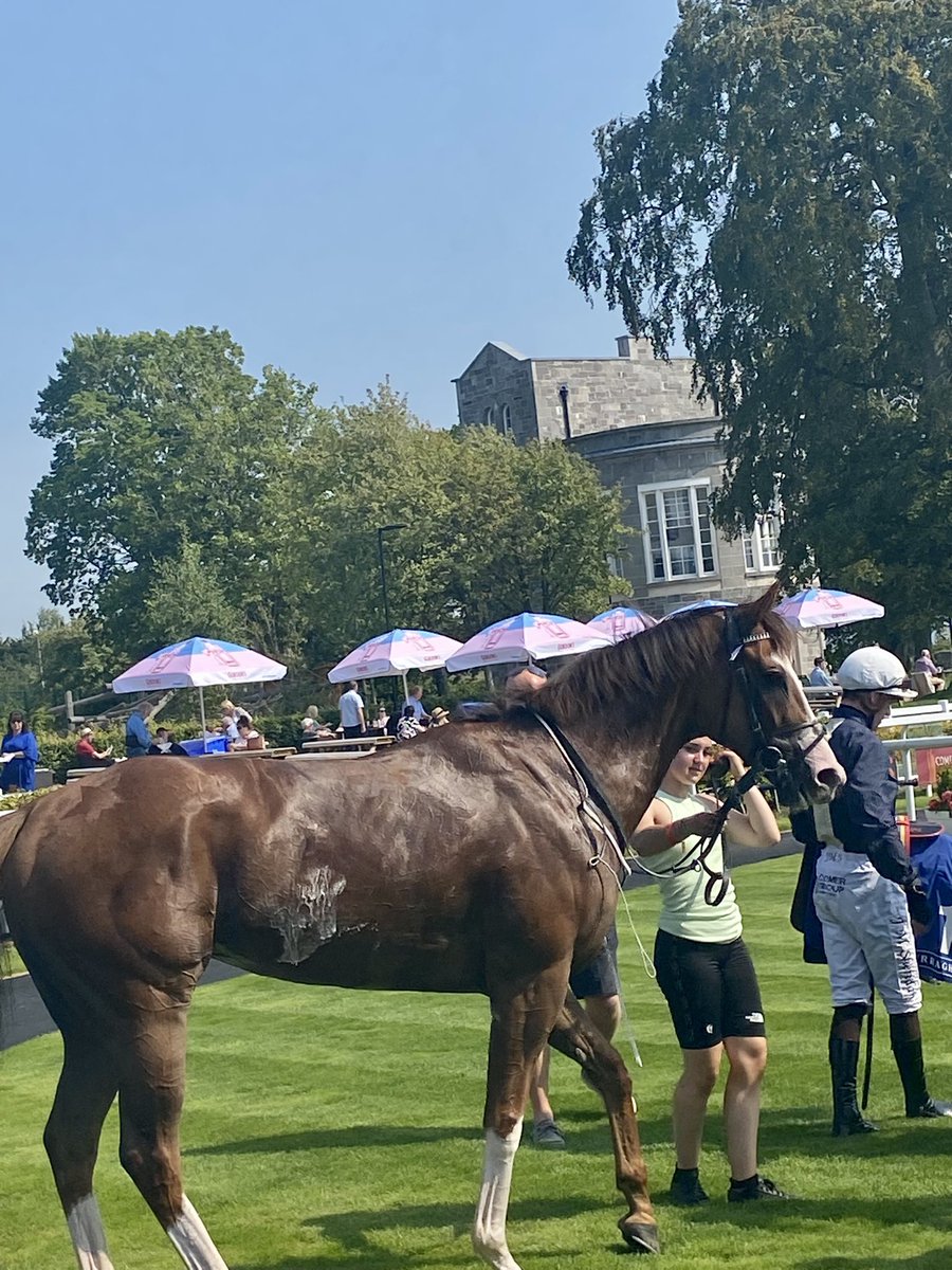 Dawn Leadon-Bolger (@dawnesme) on Twitter photo Prisoner's Dilemma a gorgeous winner by great Toranado under <a href="/joeysheridan8/">Joey Sheridan</a> for
<a href="/JohnnyFLRacing/">Johnny Levins</a> owned by Epitome racing 🏇🏼🤩👏
#curragh Prisoner's Dilemma a gorgeous winner by great Toranado under <a href="/joeysheridan8/">Joey Sheridan</a> for
<a href="/JohnnyFLRacing/">Johnny Levins</a> owned by Epitome racing 🏇🏼🤩👏
#curragh