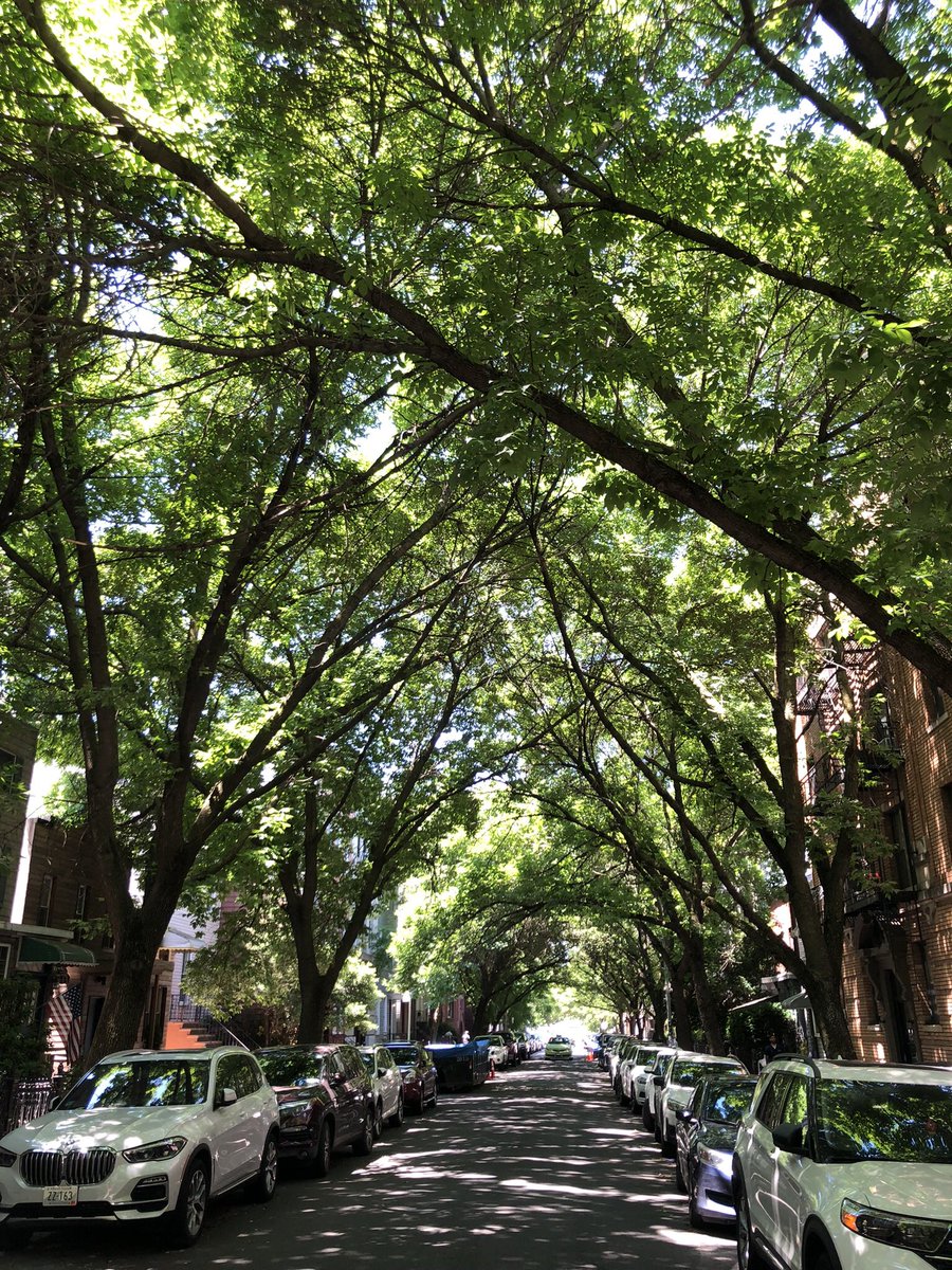 weinmaier's tweet photo. @AlexKraah @June26Jasmine @StefanHechl Ja, es ist (meistens) super, meine Straße in Greenpoint, Brooklyn - best neighborhood https://t.co/tPbCCSocA8