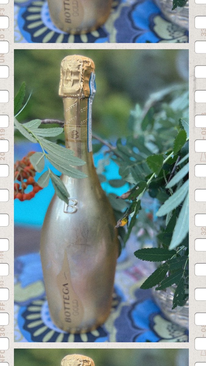 LizPalmer_'s tweet photo. Today’s forecast is 100% chance of Prosecco and it’s now time for “Bottega Gold” to CELEBRATE National Prosecco Day!!
#nationalproseccoday #italianwine #patios #proseccoday #pool
#bottegamoments #summervibes #sparklingmoments #proseccodocg #proseccodoc #bottegagold #proseccopop https://t.co/54uBGN7miO