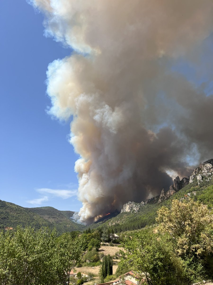 Clara G. tweet media