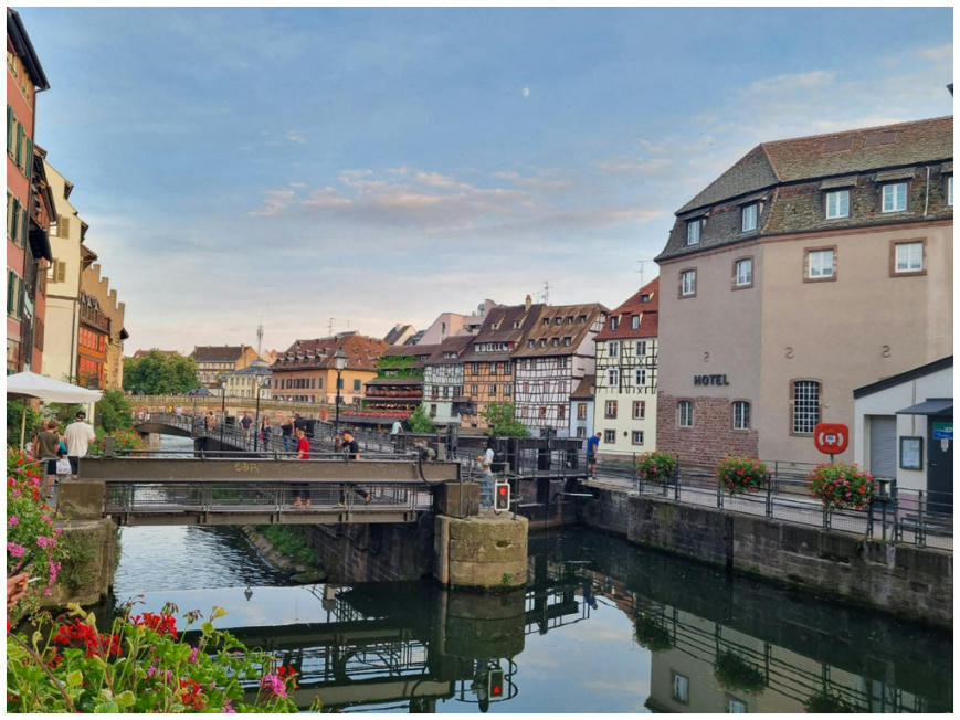 Zehub's tweet photo. #Sécheresse : #Strasbourg retire ses fleurs mais maintient les #ilots de #fraîcheur | Actu Strasbourg https://t.co/9BxUaZOdfc https://t.co/Tzz4YM7KZY