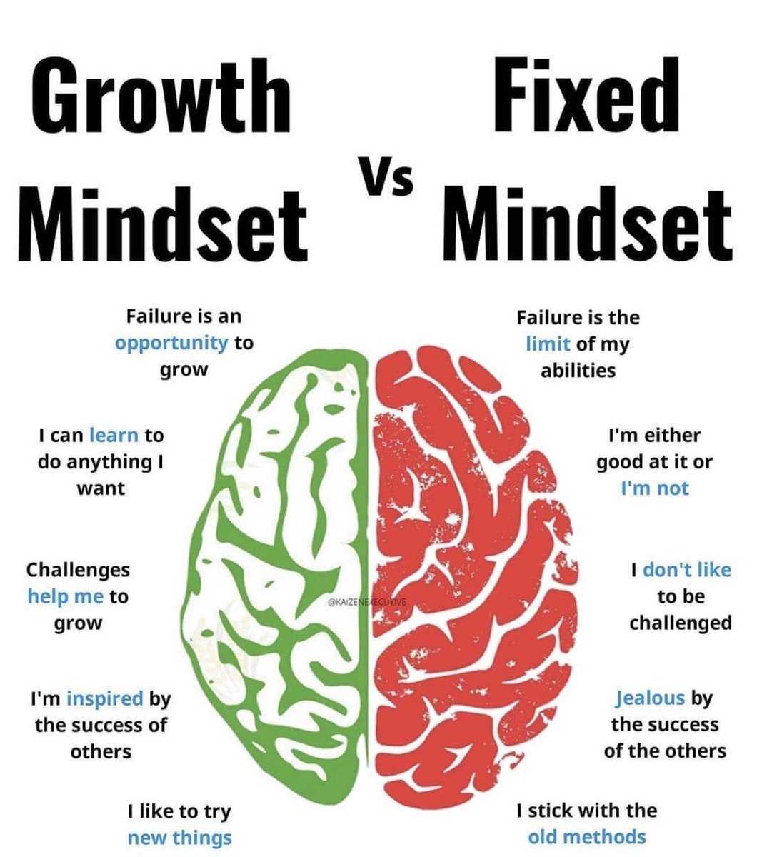 Which type of mindset do you have?