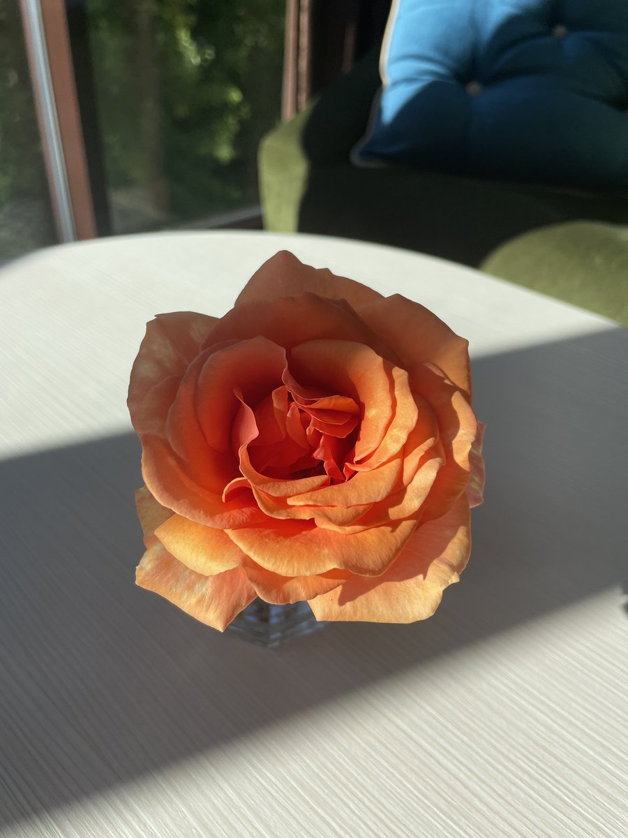 allinmini_'s tweet photo. Be creative and happy today 🥳
#NFTcommunity #nftart #artists https://t.co/5FZHPYHZn4