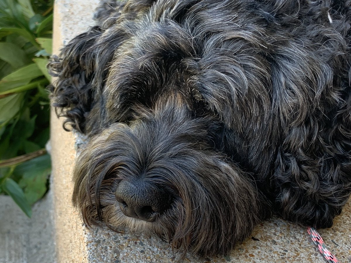 In case you missed my best girl . . .