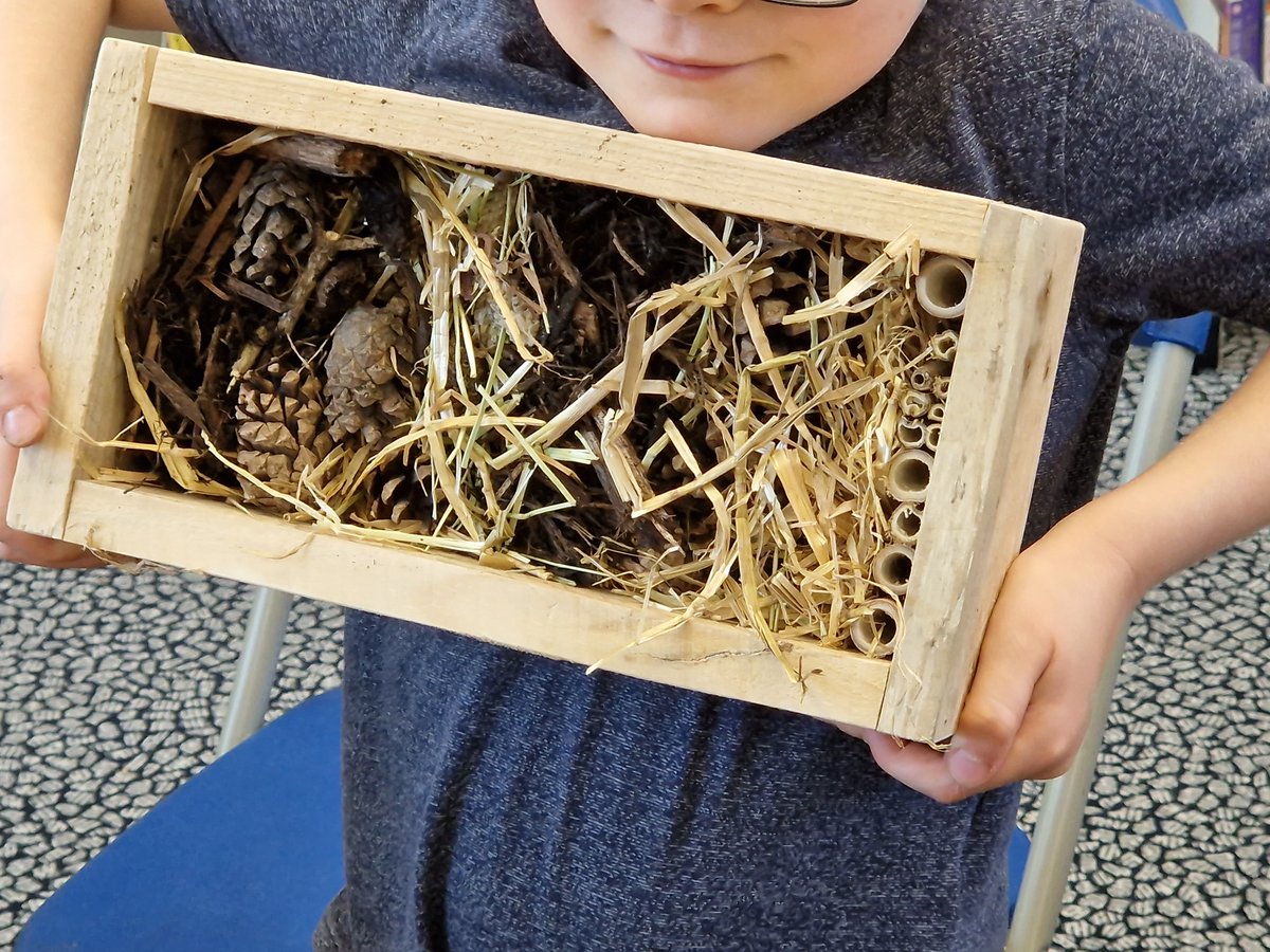 LancsLibraries's tweet photo. Fabulous time at #Ribbleton creating bug hotels πͺ²π
#SCARTClub2022 #SCARTPlanetSavers #LancsSummerFun #RibbletonLibrary https://t.co/Exdkx7SSiZ
