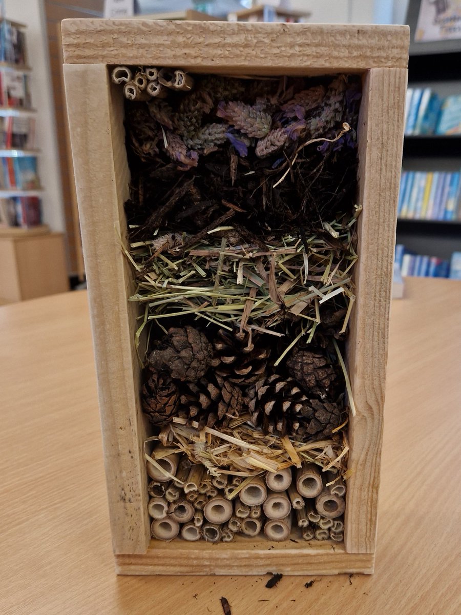 LancsLibraries's tweet photo. Fabulous time at #Ribbleton creating bug hotels πͺ²π
#SCARTClub2022 #SCARTPlanetSavers #LancsSummerFun #RibbletonLibrary https://t.co/Exdkx7SSiZ