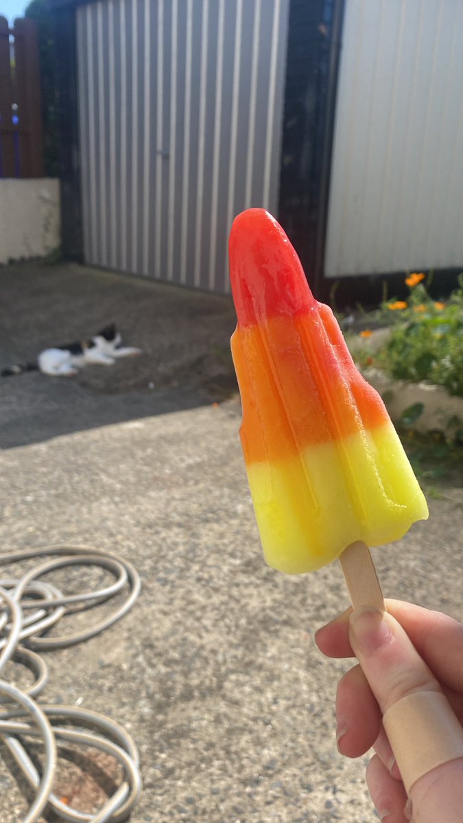 Hayley The Tiny tweet media