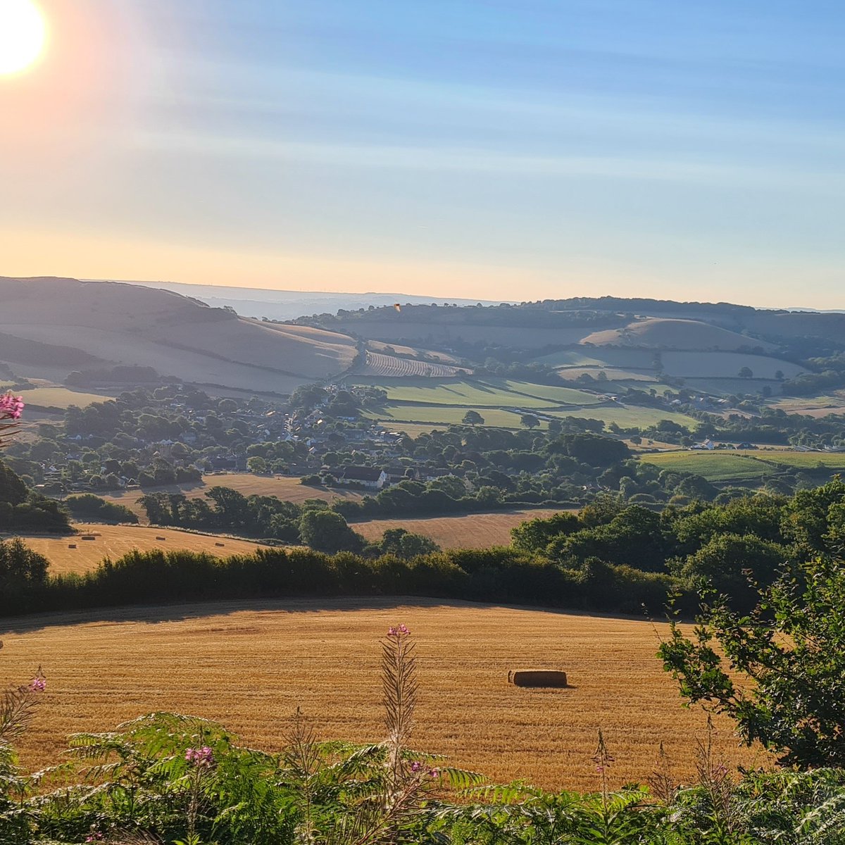 TheQuietLAD's tweet photo. Summer countryside...
Have a lovely weekend!
#Dorset #Chideock #summer #fields #village #sun #landscape #landscapephotography #nature https://t.co/VbOiAlARUa