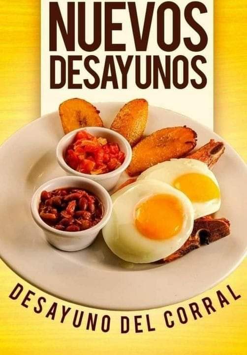 LaPagina's tweet photo. 🤠 Los nuevos desayunos que te esperan al 2x1 de lunes a domingo hasta las 10:30 am. Combina las nuevas opciones de nuestra variedad de este menú : Desayuno del corral 😋.
➡️ Solo para consumo en restaurantes.
#PollosReal #rostizados #típicos #carnitas https://t.co/plMOdBLEh7