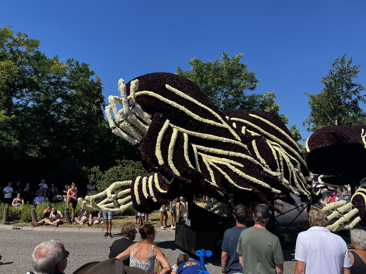Vandaag eindelijk weer echt Corso, wat een prachtige wagens reden er weer rond!
Leersum gefeliciteerd met zoveel vrijwilligers die dit mogelijk maken!!