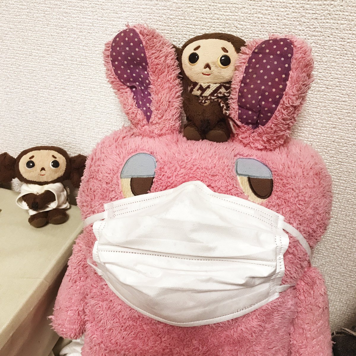 ぐーたらポッケのポッケちゃ🐸 (@Pokke_pokepoke) / Posts / X