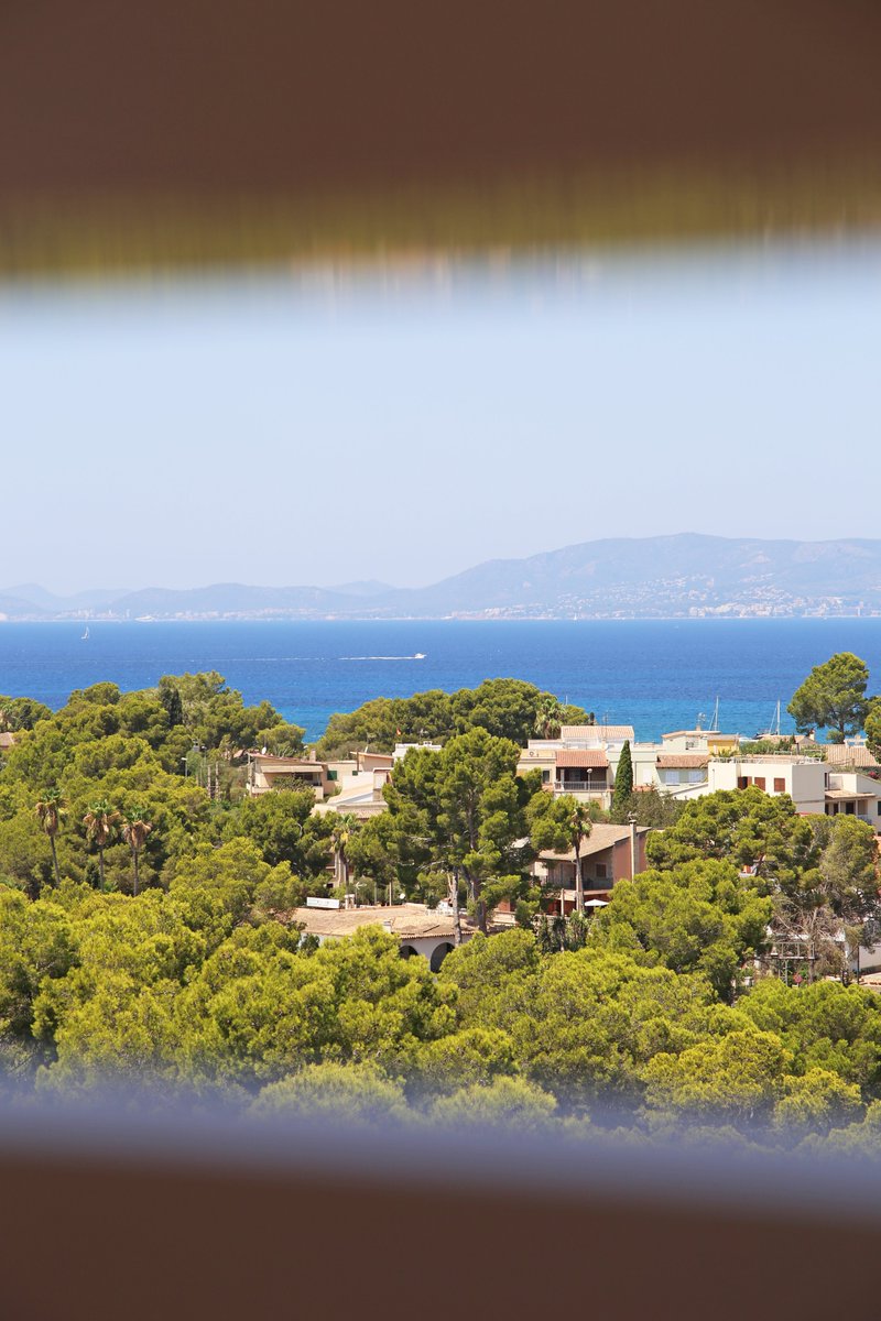 azuLine Hotels tweet media