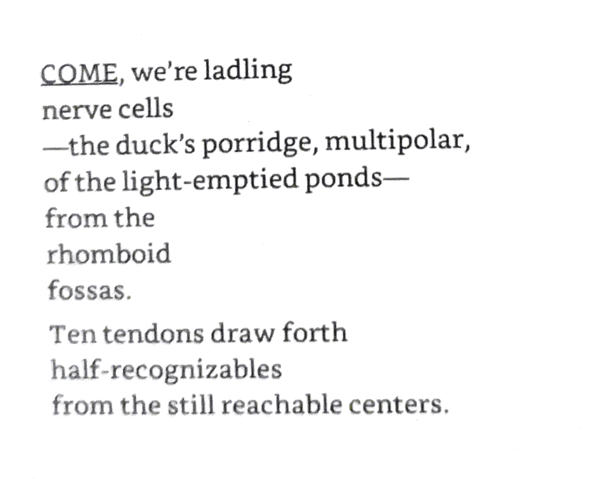 my wedding invitation–