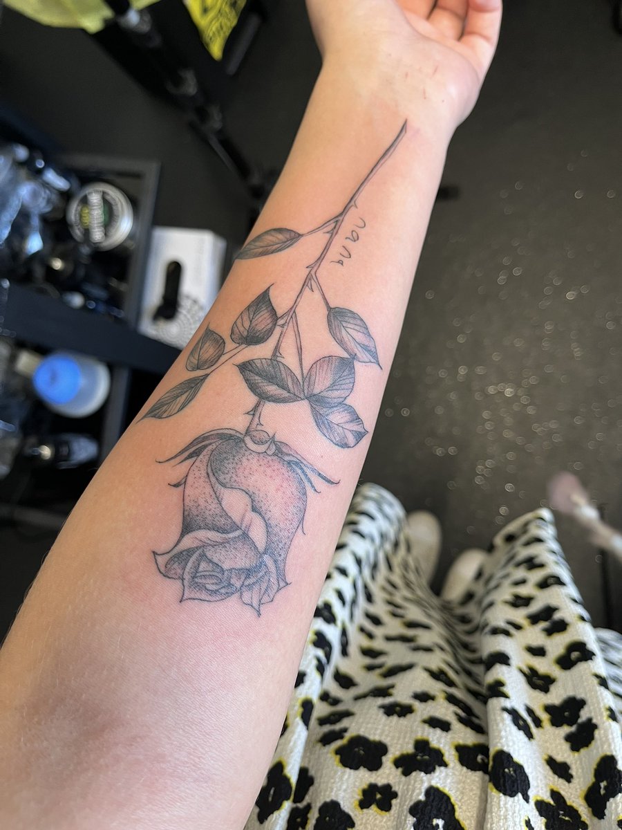 Grassiie tweet media