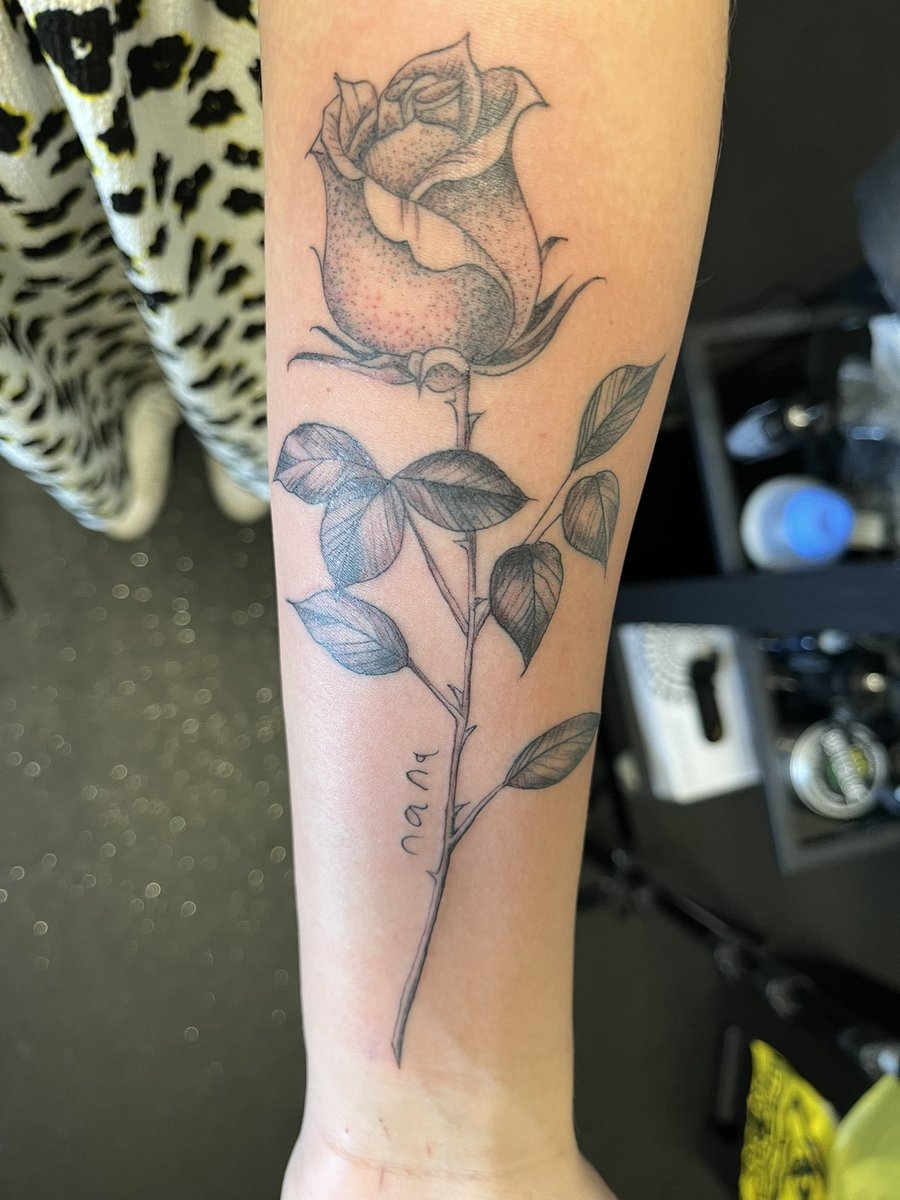 Grassiie tweet media