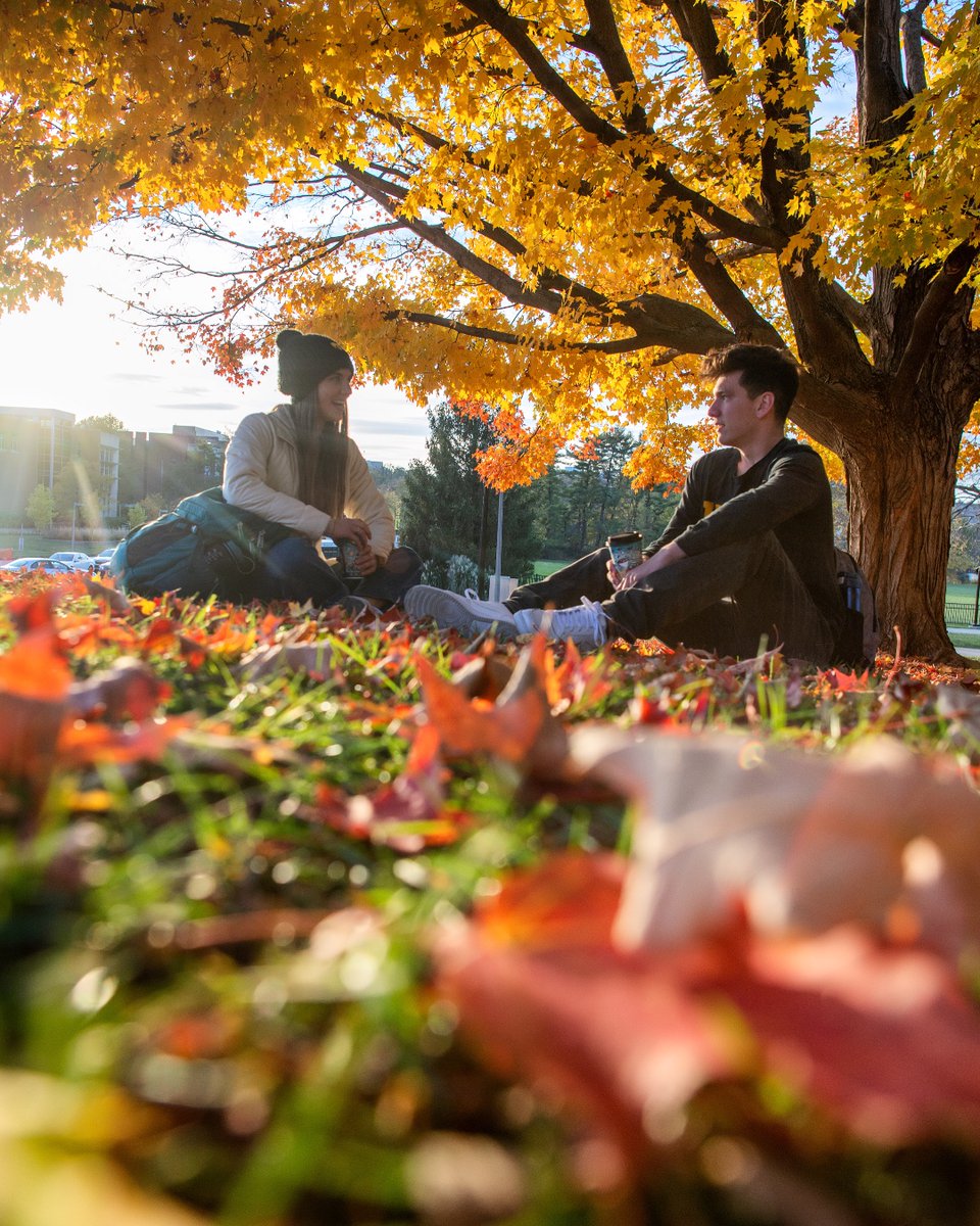 UIREACHProgram's tweet photo. I don't know about you... but I am ready for fall! 🍂
#uireach #yourfutureiswithinREACH https://t.co/e44sLaTliq