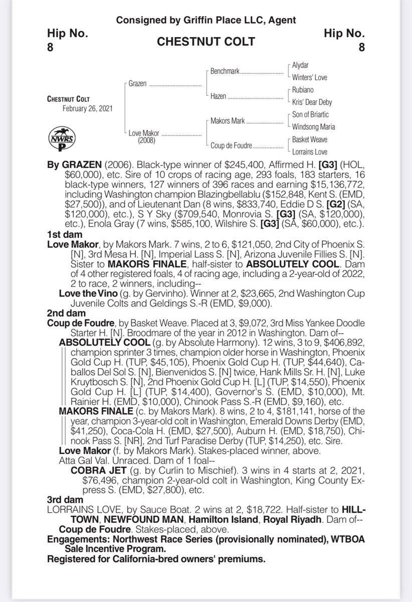 WTBOA's tweet photo. The black type in the WTBOA sales catalog just keeps growing. On 8/7 IT’S TURBO Won the WTBOA Lads stakes for juvenile males. He is a half brother to hip https://t.co/aART7XSuNv