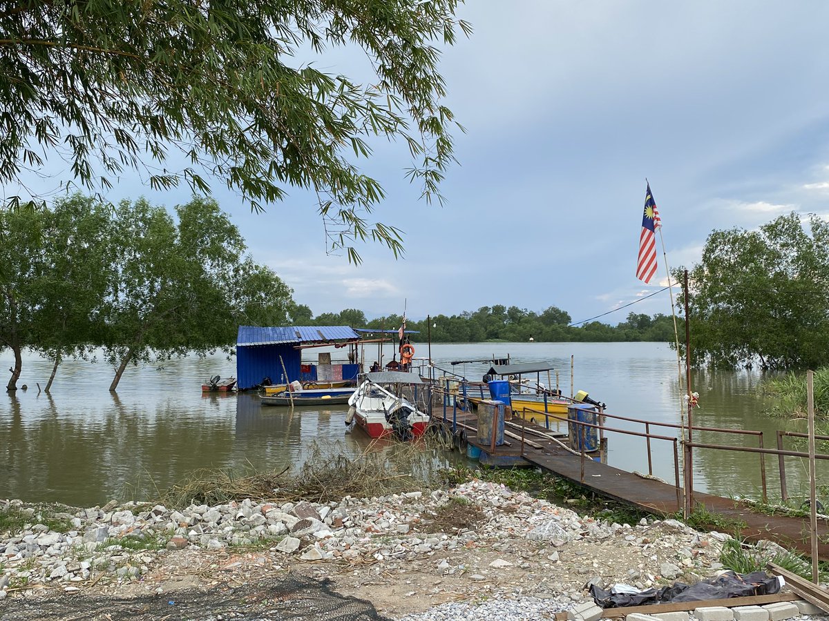 hazman_JD's tweet image. Prawning @ Sg Perak, Teluk Anson.