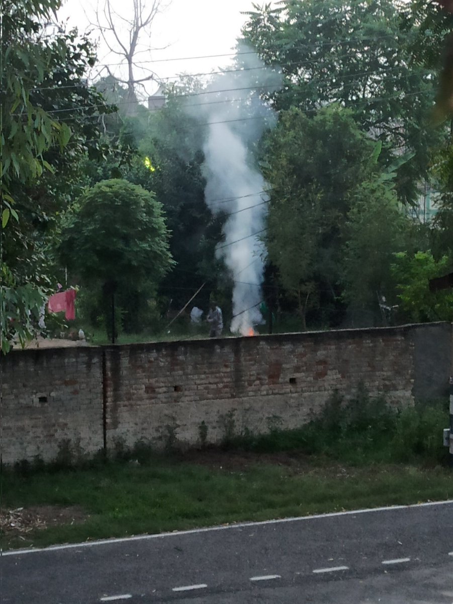anshula__kumar's tweet photo. @AAPPunjab servants in Bathinda Cantonment often see fit to burn fallen leaves rather than disposing them off the proper way because it's easier. 
Please impose fines and keep a check on such activities 🙏🏻 https://t.co/mG3zTxNdDt