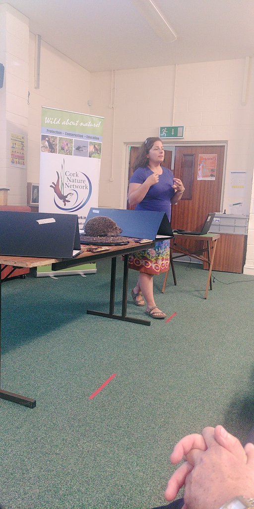 KellyCotel's tweet photo. Great event on hedgehogs by @CorkNatNetwork with Elaine O'Riodan. Relevant in planning as they thrive in urban environments but need good corridors, low fences and a lot of hedges, away from the roads. You can participate in recording them on Irish Hedgehog survey. https://t.co/z6DFBiTfgm