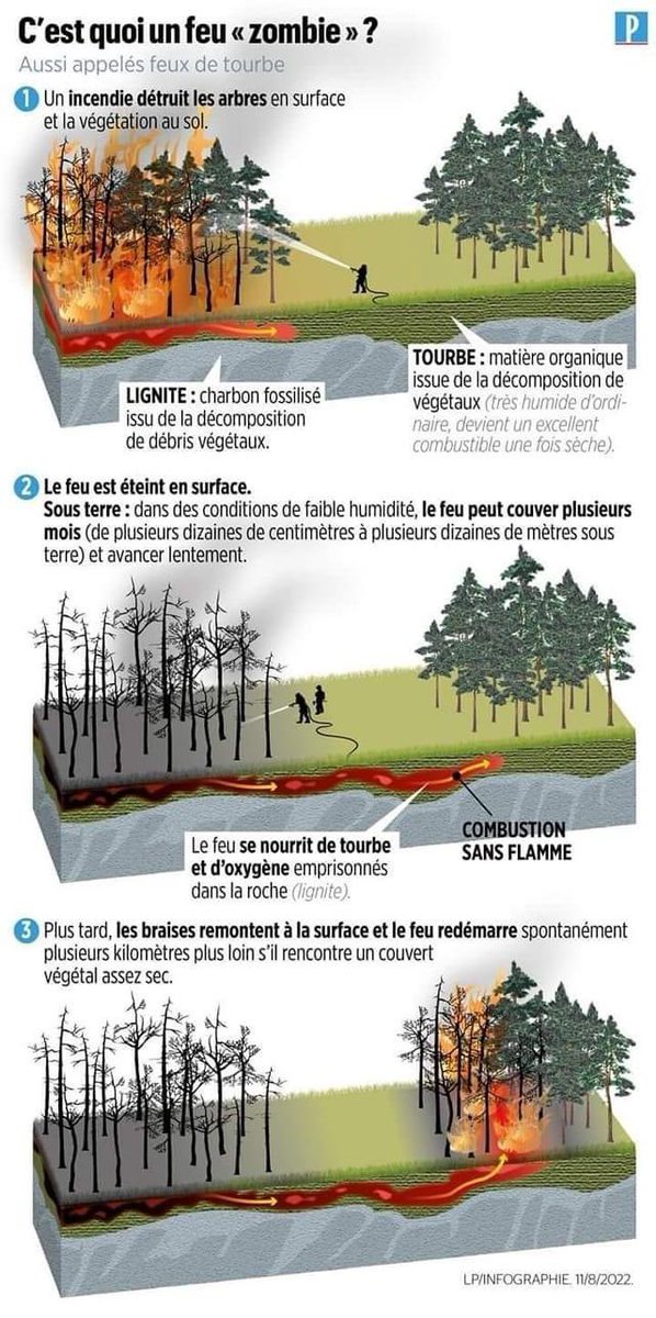 Pompiers de France (@pompiersfr) on Twitter photo #FeuxDeForêt | Explication du feu de tourbe et de sa méthode de propagation.
Merci au graphiste et journalistes du <a href="/le_Parisien/">Le Parisien</a> #FeuxDeForêt | Explication du feu de tourbe et de sa méthode de propagation.
Merci au graphiste et journalistes du <a href="/le_Parisien/">Le Parisien</a>